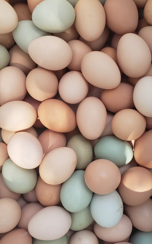 Eggs