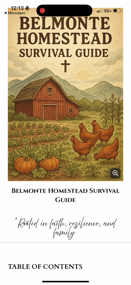 Emergency Survival Guide 100+ pages DIGITAL DOWNLOAD